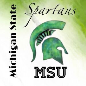 Michigan State University Spartan Closet Collection